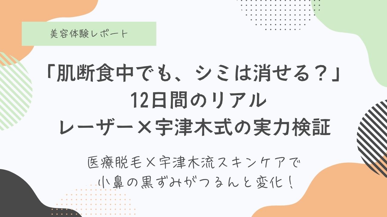 シミ取りレーザー経過写真12日間
