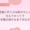 脱縮毛矯正、セルフカット、やり方。天パ、癖毛、天然パーマ。縮毛矯正を自分で卒業する方法