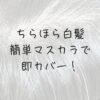 40代、美容室頻度、白髪ぼかしハイライト、原理、白髪を治したい、白髪ぼかしマスカラ、ちらほら白髪