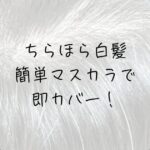 40代、美容室頻度、白髪ぼかしハイライト、原理、白髪を治したい、白髪ぼかしマスカラ、ちらほら白髪
