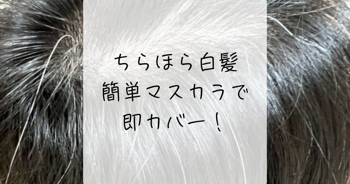 40代、美容室頻度、白髪ぼかしハイライト、原理、白髪を治したい、白髪ぼかしマスカラ、ちらほら白髪