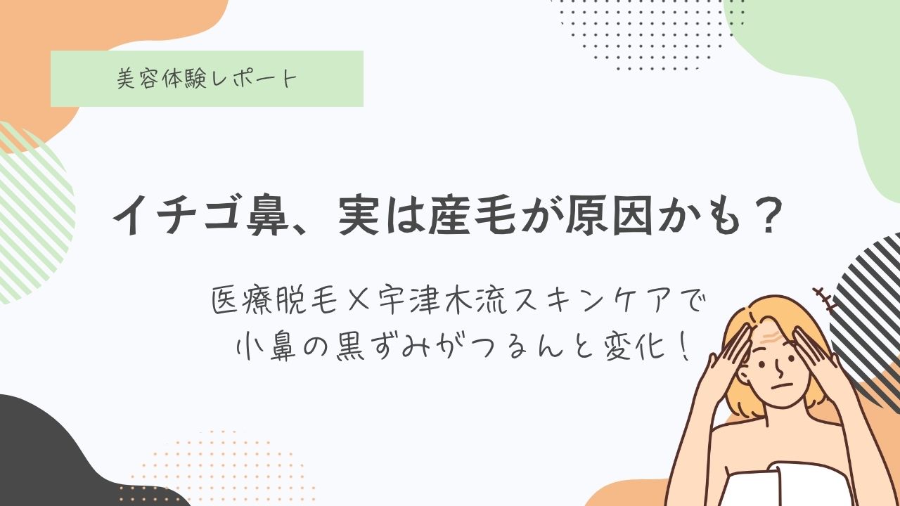 毛穴、小鼻の黒ずみ、イチゴ鼻、医療脱毛、永久脱毛、光脱毛、産毛、顔面脱毛、50代