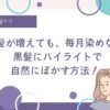 地毛の黒髪に白髪ぼかしハイライト、美容室頻度を下げたい、白髪、