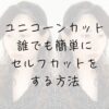 誰でも簡単セルフカット、ユニコーンカット（unicornCut）癖毛カット、天パカット