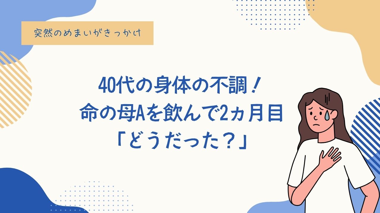命の母A、めまい、生理痛